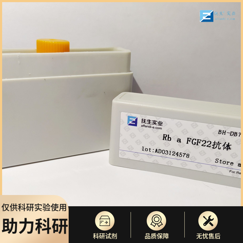 半胱胺酸蛋白酶蛋白-4抗体