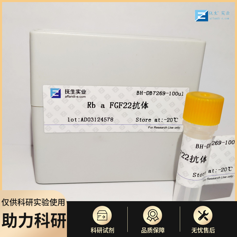 G蛋白偶联受体41抗体