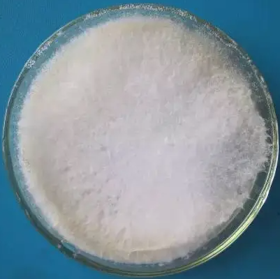 Nitratireductor Basaltis