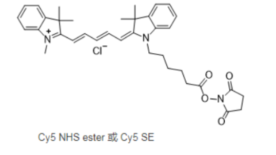 Cy5-硬脂酸，CY5-Stearic acid，Cyanine5-Stearic Acid