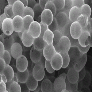 中空二氧化钛微球1um，Hollow Titania Microspheres