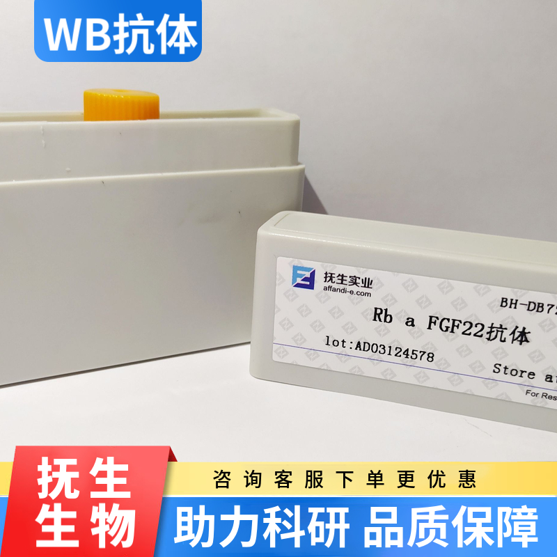 Strep-Tag II（标签）抗体