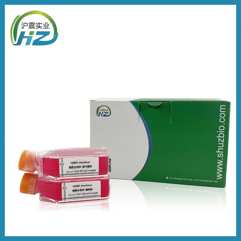 CoC1/DDP（人卵巢癌细胞CoC1顺铂耐药亚株） HZ-5475HC