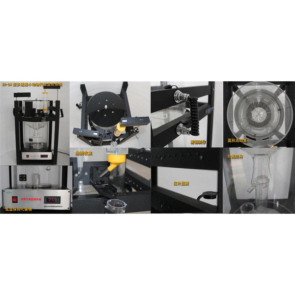 小动物代谢监测系统 小动物代谢检测系统