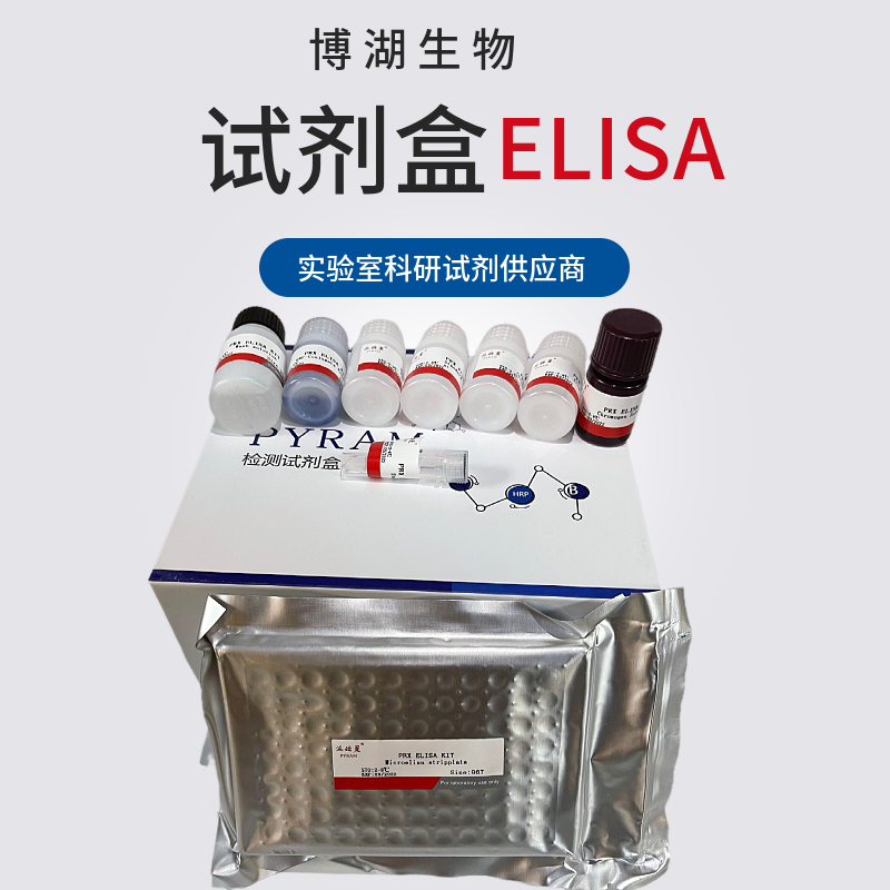 人骨成型蛋白受体2(BMPR2)ELISA试剂盒
