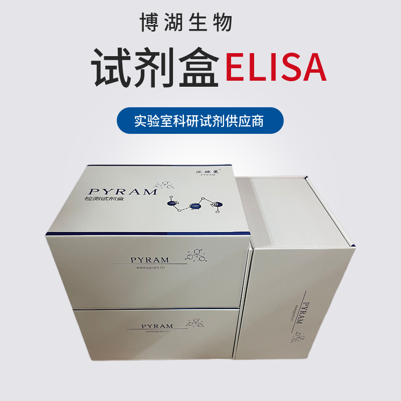 人骨成型蛋白受体2(BMPR2)ELISA试剂盒