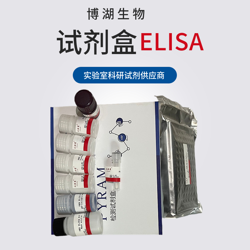 人骨成型蛋白受体2(BMPR2)ELISA试剂盒