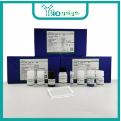 人血管动样蛋白1(AMOTL1)ELISA试剂盒 YB70146Hu