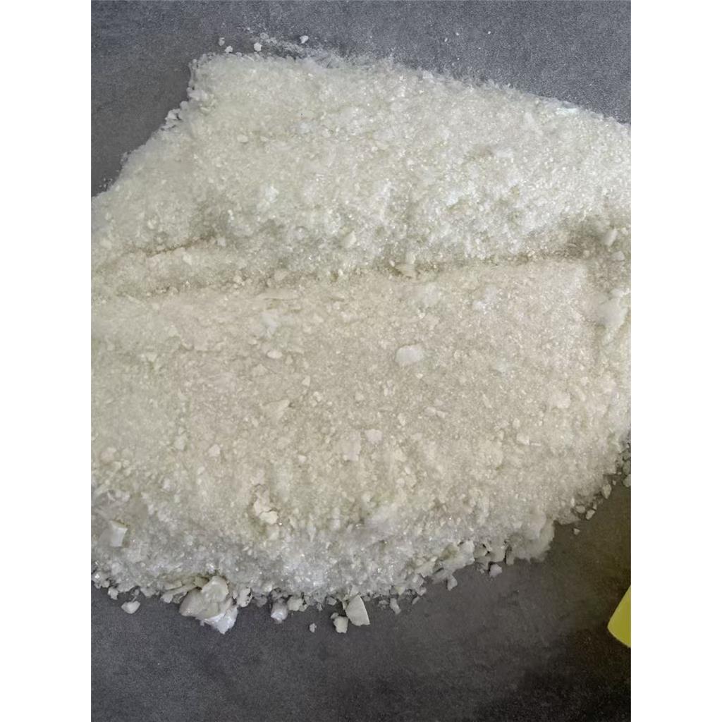 褐色喜热裂孢菌脂肪酶