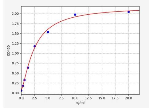 image 2022061209215973295