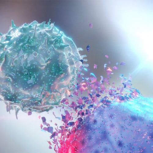 小鼠Cadherin-17 / CDH17蛋白, His Tag