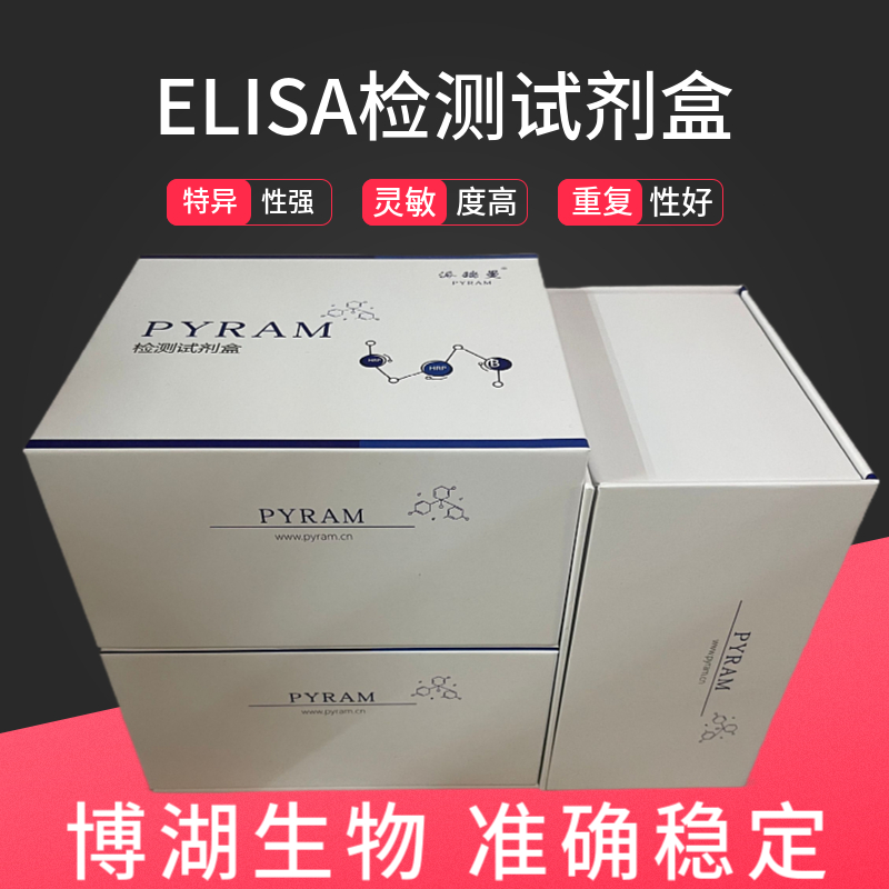 大鼠肾肿瘤抗原(RAGE)ELISA试剂盒