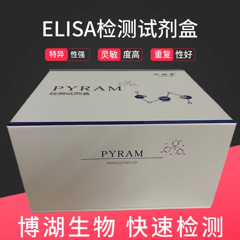 大鼠肾肿瘤抗原(RAGE)ELISA试剂盒