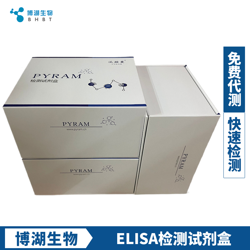 小鼠氨基端前脑钠素(NT-proBNP)ELISA试剂盒