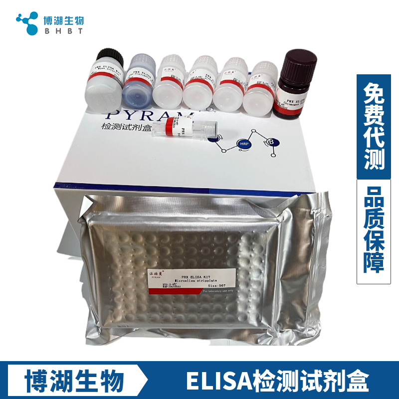 大鼠白介素31(IL-31)ELISA试剂盒