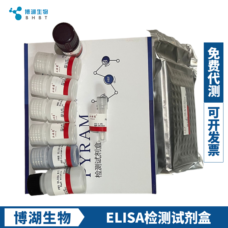 大鼠白介素31(IL-31)ELISA试剂盒