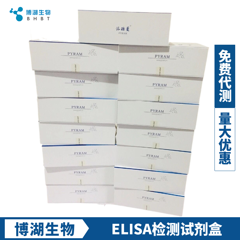 大鼠白介素31(IL-31)ELISA试剂盒