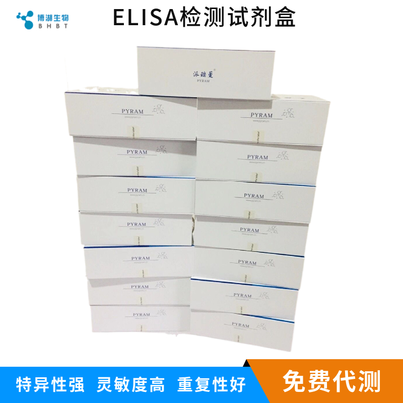 大鼠白介素31(IL-31)ELISA试剂盒