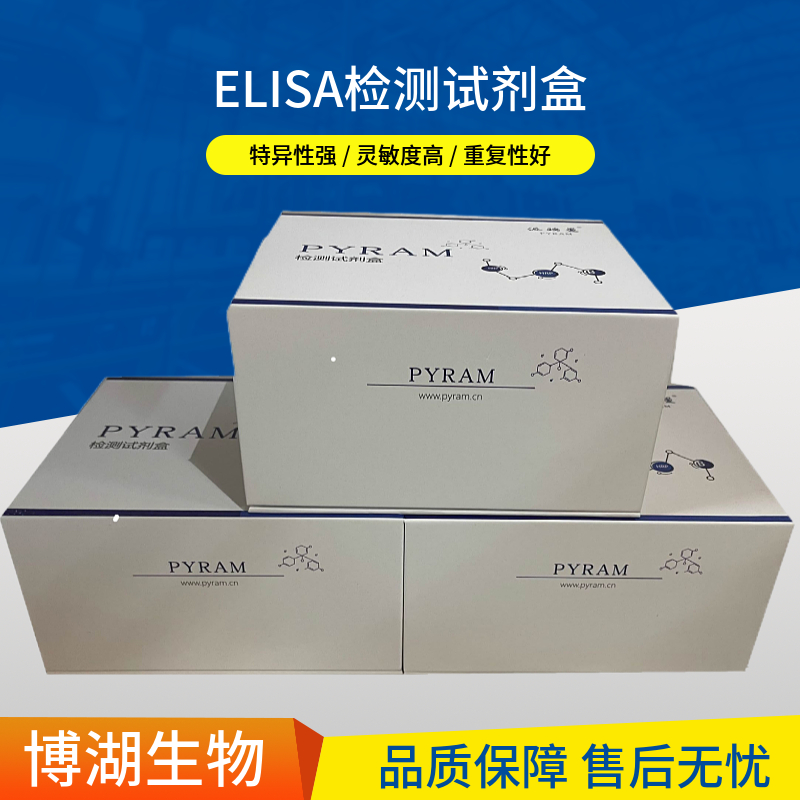 小鼠基质金属蛋白酶8(MMP-8)ELISA试剂盒