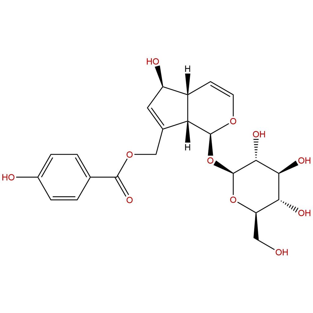 穗花牡荆苷(CAS:11027-63-7)