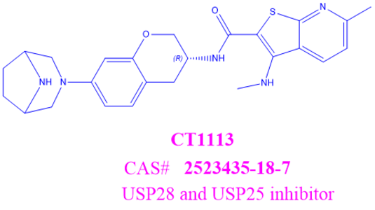 CT1113 