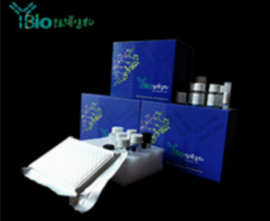人FAM132B蛋白(FAM132B)ELISA试剂盒 YB70427Hu