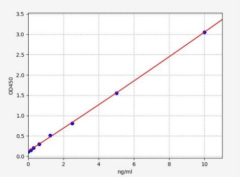 人透明质酸合酶1(HAS1)ELISA试剂盒 YB70672Hu