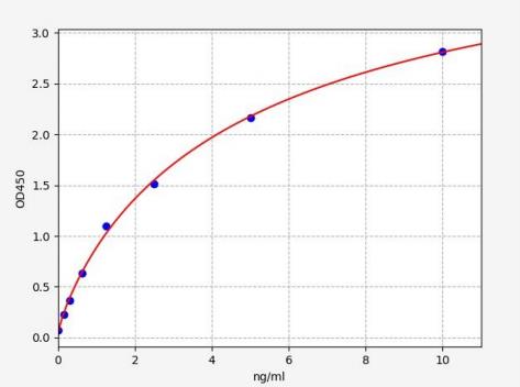 人E3泛素蛋白连接酶HACE1(HACE1)ELISA试剂盒 YB70669Hu