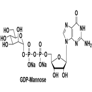 103301-73-1,GDP-甘露糖,GDP-Man