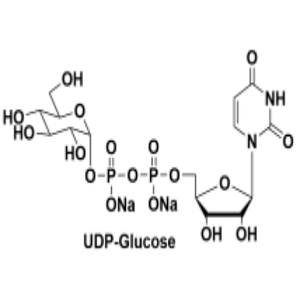 28053-08-9,UDP-葡萄糖,UDP-Glc