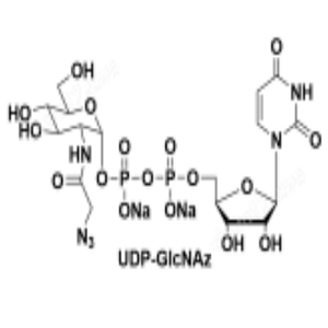 91183-98-1，UDP-GlcNAz，UDP-N-乙酰葡糖胺
