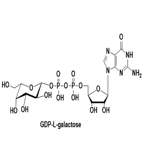 6815-91-4，GDP-L-galactose，GDP-L-半乳糖