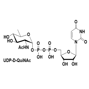 UDP-D-QuiNAc,尿苷二磷酸D-喹诺糖胺