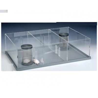 动物社交行为分析  动物社会交往分析