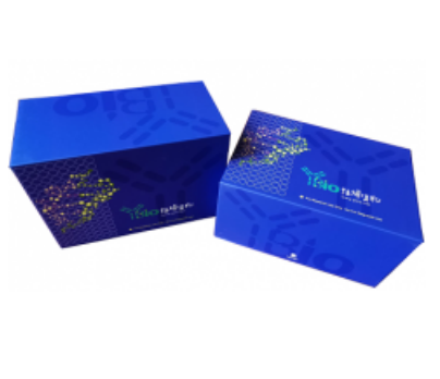 人Krueppel样因子10(KLF10)ELISA试剂盒 YB70764Hu