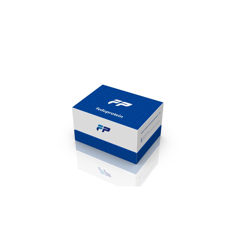 登革热病毒4型探针法qRT-PCR试剂盒(不含内参)