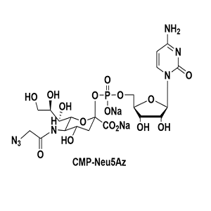 3063-71-6,CMP-Neu5Az,胞嘧啶单磷酸N-乙酰神经氨酸腙