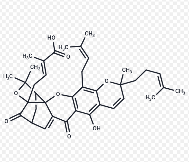 CY5-藤黄酸,CY5-GAMBOGIC ACID，CY5-GA / GA-CY5，Gambogic Acid-Cyanine5 conjugate，近红外荧光标记天然抗癌化合物探针