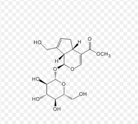 FITC-栀子苷/FITC-Geniposide/异硫氰酸荧光素-栀子苷（Fluorescein Isothiocyanate-Geniposide）/FITC-Gen / Gen-FITC/绿色荧光标记环烯醚萜苷探针