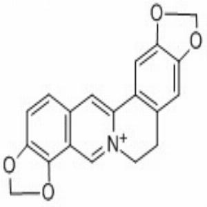 黄连碱(CAS:3486-66-6)