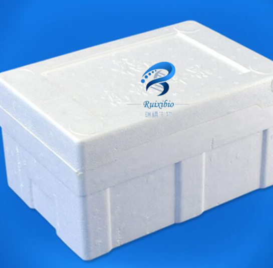 荧光素修饰的四氧化三铁磁性纳米颗粒 FITC-Fe3O4