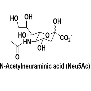 131-48-6，N-乙酰神经氨酸，N-Acetylneuraminic acid