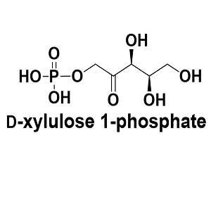 63323-91-1，D-xylulose 1-phosphate，D-木酮糖-1-磷酸酯