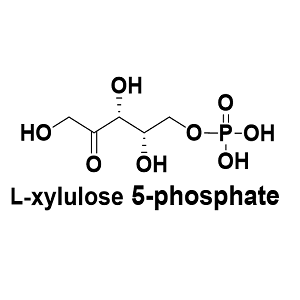 2922-69-2，L-木酮糖5-磷酸，L-xylulose 5-phosphate