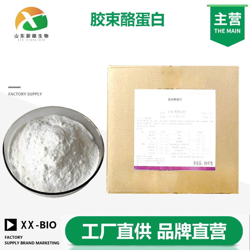 胶束酪蛋白厂家