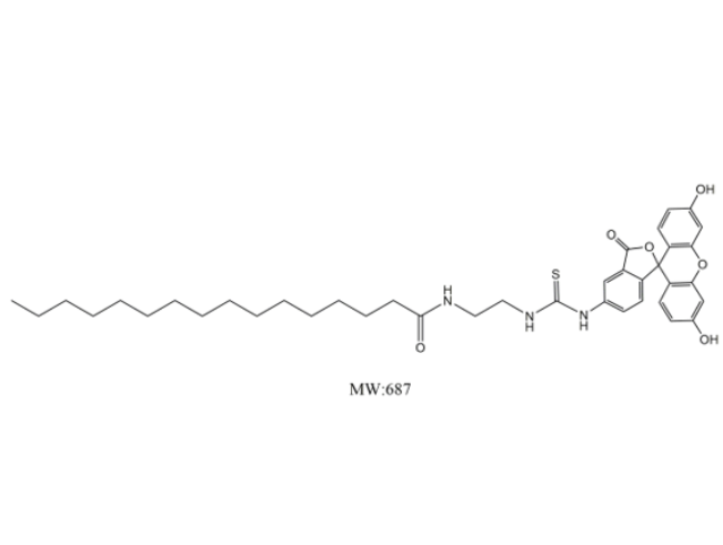 FITC-棕榈酸/FITC-Palmiticacid/异硫氰酸荧光素-十六烷酸（Fluorescein Isothiocyanate-Hexadecanoic Acid）/绿色荧光标记饱和脂肪酸探针/Palmitic Acid-FITC conjugate
