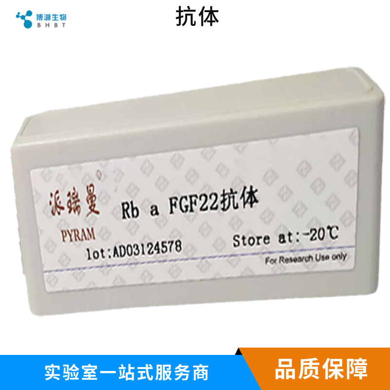 白介素1α/IL-1α抗体