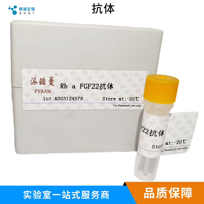 白介素1α/IL-1α抗体