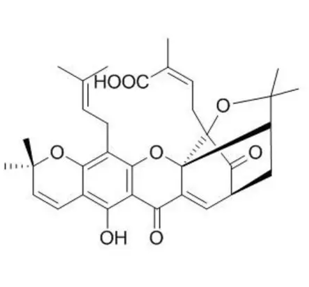 CY3-藤黄酸/CY3-GAMBOGIC ACID/Gambogic Acid-Cyanine3 conjugate/橙色荧光标记多环呫吨酮探针
