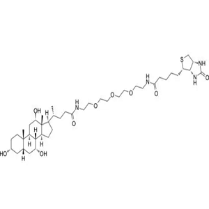 Biotin-Cholic acid，生物素-胆汁酸